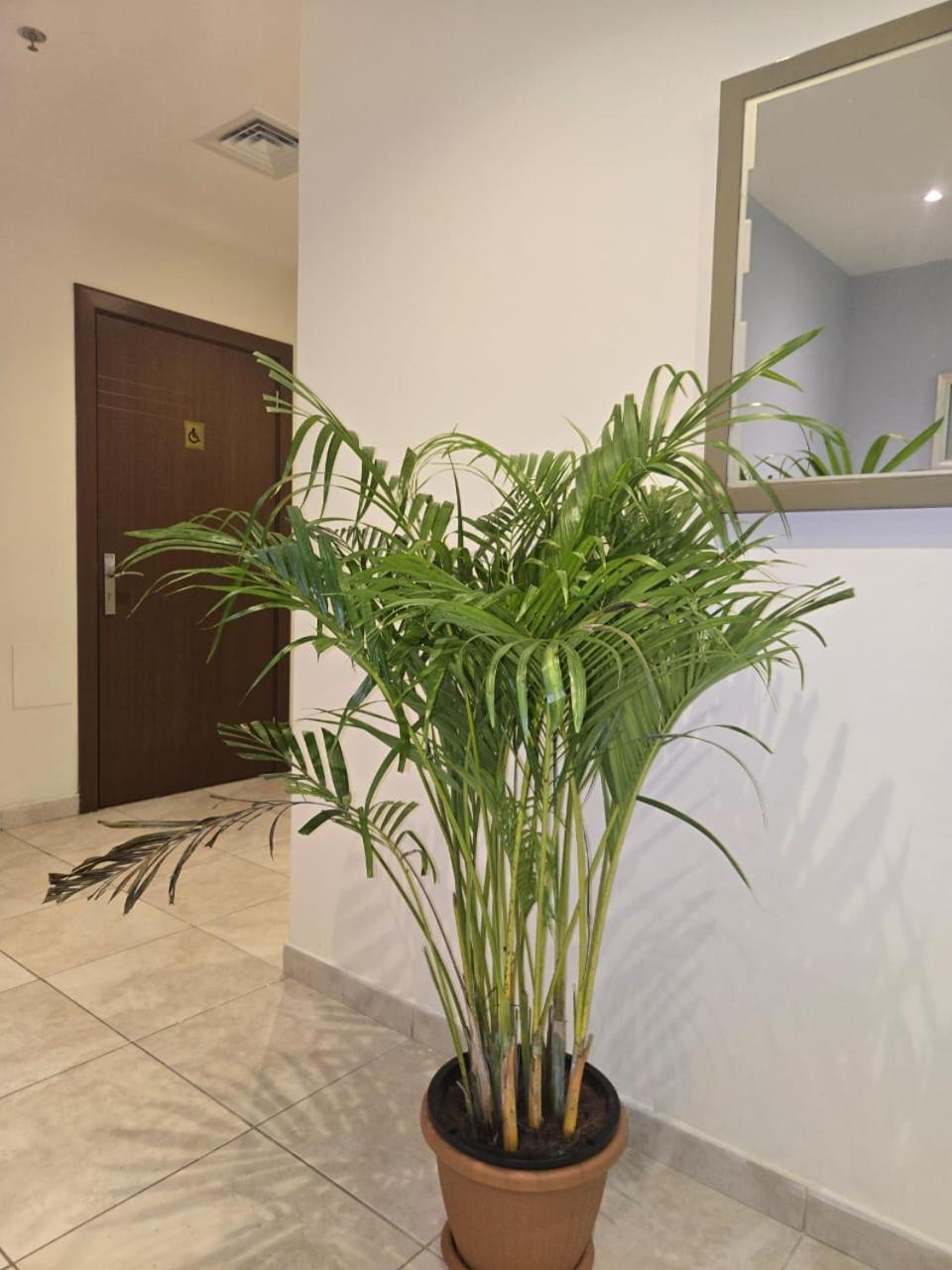 Al Raya Hotel Apartments Dubai Eksteriør billede